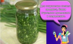 7 лучших способов, как сохранить на зиму зеленый лук надолго