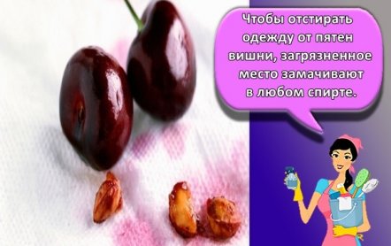Правила, как быстро отстирать пятна от вишни в домашних условиях
