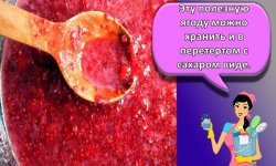 Как и сколько можно в домашних условиях хранить малину, лучшие способы