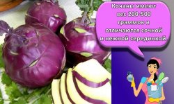 Как правильно хранить капусту кольраби и способы в домашних условиях
