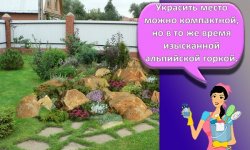 Как своими руками сделать альпийскую горку, обзор цветов и растений