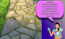 Особенности и выбор камня плитняка для садовых дорожек, инструкция укладки своими руками