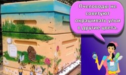 Технология покраски ульев, 5 подходящих видов составов и какой цвет выбрать
