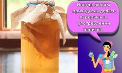 Как и где правильно хранить чайный гриб в домашних условиях и сроки