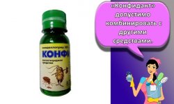 Инструкция по применению и состав Конфиданта, нормы расхода и аналоги