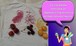 Правила и обзор лучших средств, чем с одежды отстирать абрикос