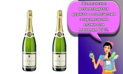 Как и сколько можно хранить шампанское в домашних условиях