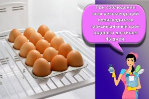 Сколько могут храниться сырые яйца в холодильнике, способы и сроки, как продлить