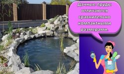 Как своими руками можно почистить пруд на даче, пошаговая инструкция и правила ухода