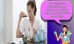 Как и чем быстро отстирать чернику с одежды в домашних условиях
