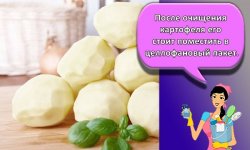 Как и сколько можно хранить очищенную картошку в домашних условиях