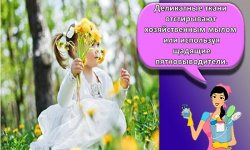 Чем можно отстирать с одежды одуванчики, топ-17 способов в домашних условиях