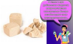 Как правильно и сколько можно хранить дрожжи в домашних условиях
