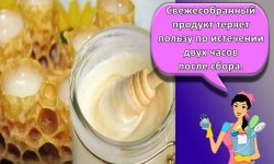 4 способа как и где можно сохранить маточное молочко