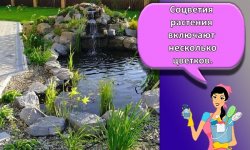 Как своими руками сделать альпийскую горку с водопадом