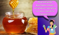 Как и где лучше хранить мед в домашних условиях, температура и сроки