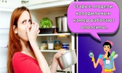 50 лучших средств и методов, как убрать неприятный запах из холодильника