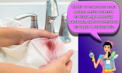 Правила и 10 лучших методов, как быстро вывести пятно от сливы