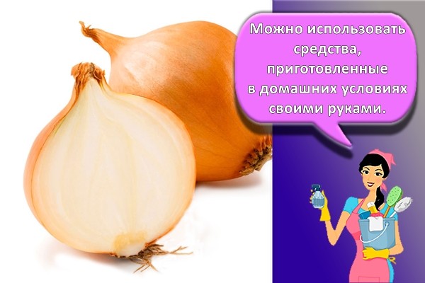 лук от тараканов