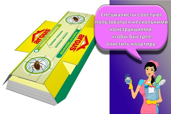 домик-ловушка от тараканов