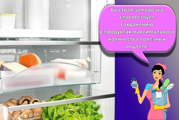 разморозка холодильника