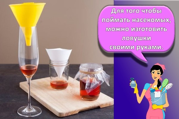 ловушки для мошек своими руками