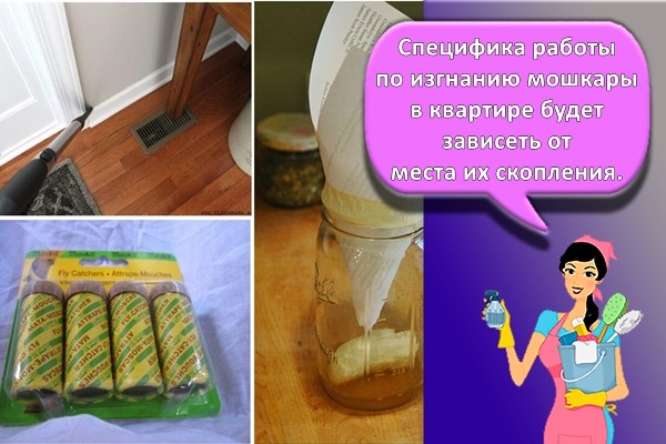 способы борьбы с насекомыми