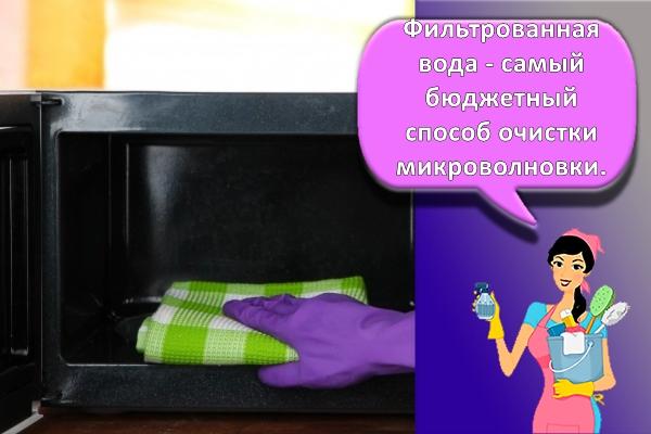 процесс мойки микроволновки