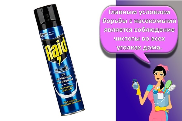 рэйд от мошек