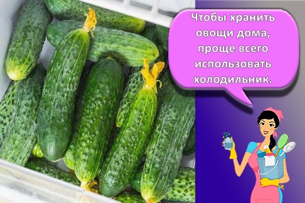 огурцы в холодильнике