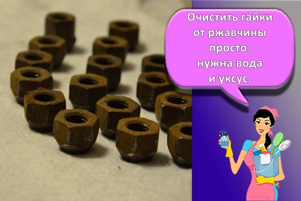 гайки