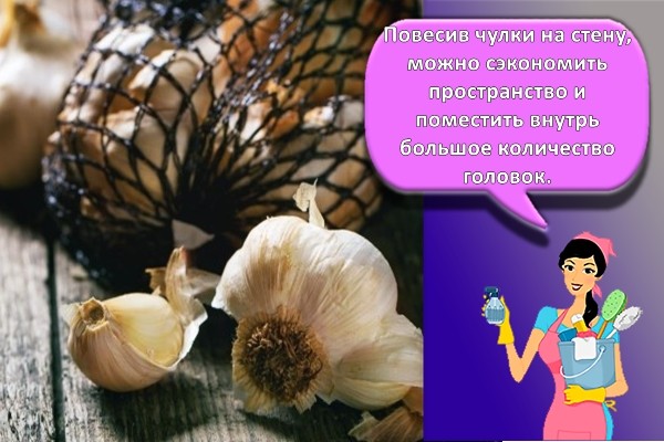 чеснок в чулке