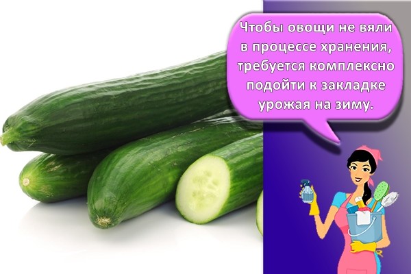свежие огурцы