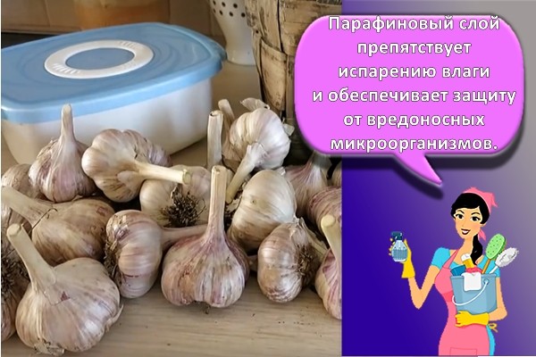Чеснок в парафине