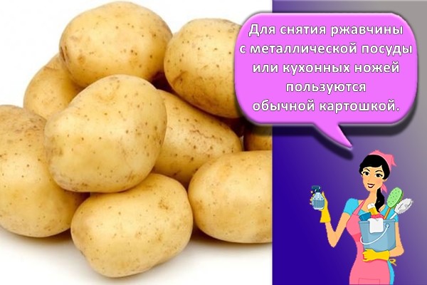 картофель