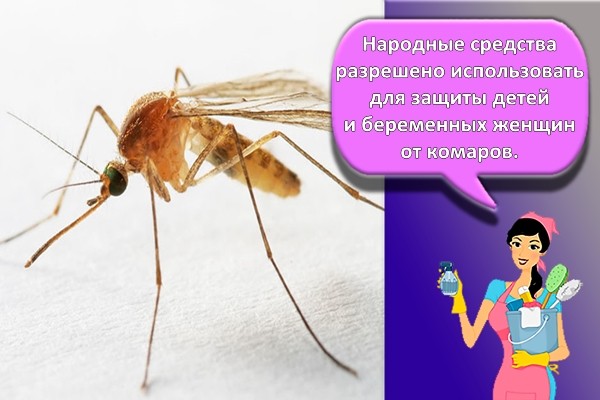 комар
