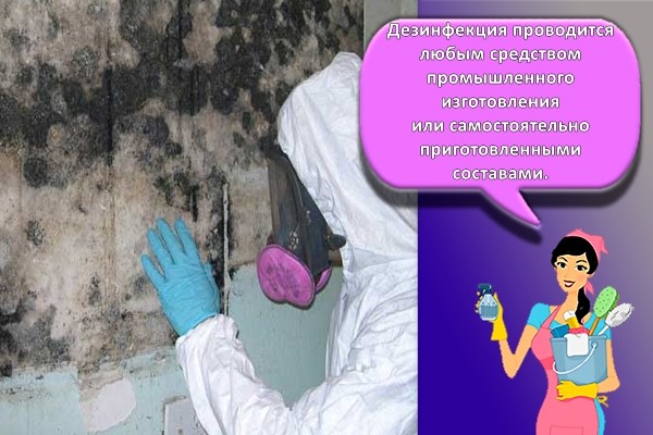 дезинфекция плесени