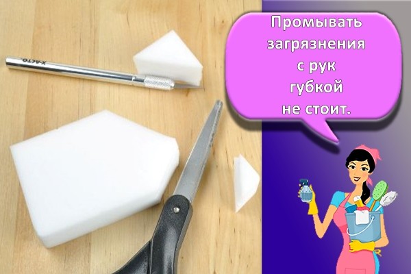 разрезанная губка