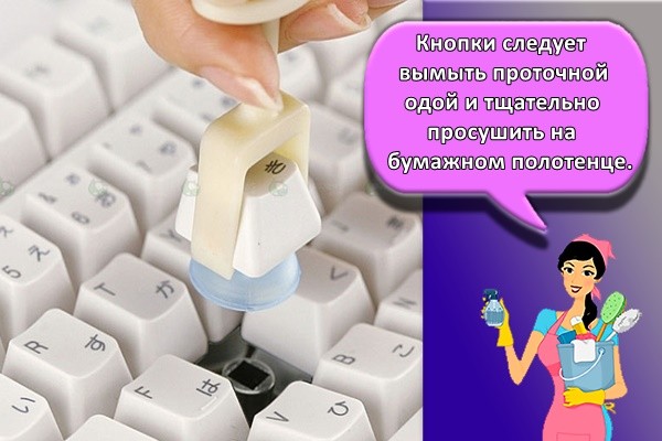 кнопки следует вымыть проточной водой и тщательно просушить на бумажном полотенце.
