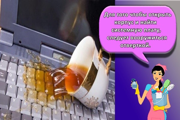 Для того чтобы открыть корпус и найти системную плату, следует вооружиться отверткой.