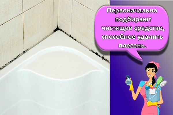 плесень в ваной