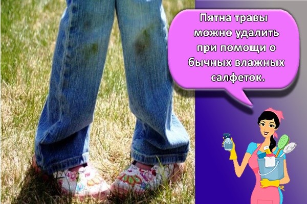 можно удалить при помощи обычных влажных салфеток
