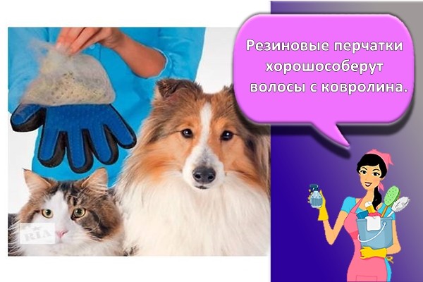резиновые перчатки