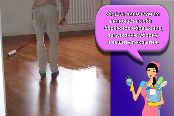 25 лучших средств, чем отмыть в домашних условиях линолеум, чтобы блестел