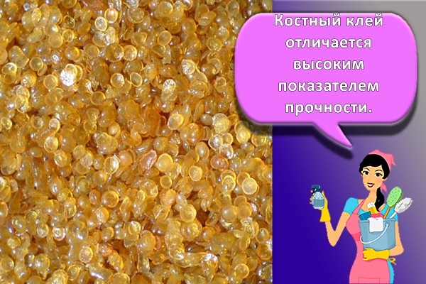 клей костный