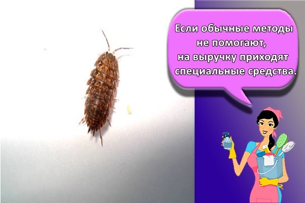 Если обычные методы не помогают, на выручку приходят специальные средства.
