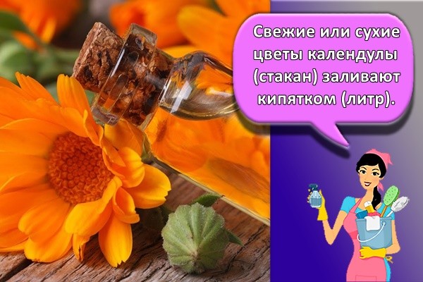 Свежие или сухие цветы календулы (стакан) заливают кипятком (литр).