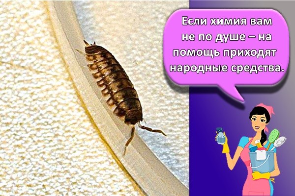 Если химия вам не по душе – на помощь приходят народные средства