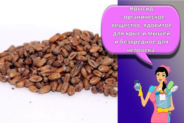 средство Крысид