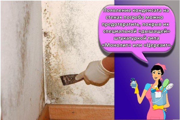 Появление конденсата на стенах погреба можно предотвратить, покрыв их специальной «дышащей» штукатуркой типа «Монолит» или «Церезит».